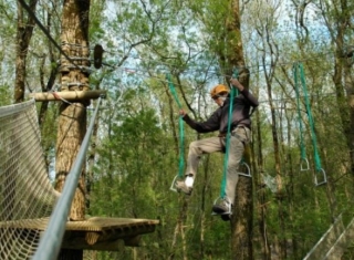 Circuito de copas de árboles en La Rochelle 